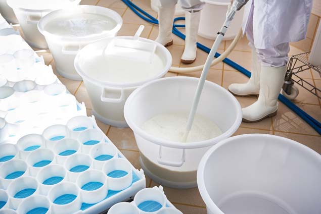 Image for: milk- & cheese production
