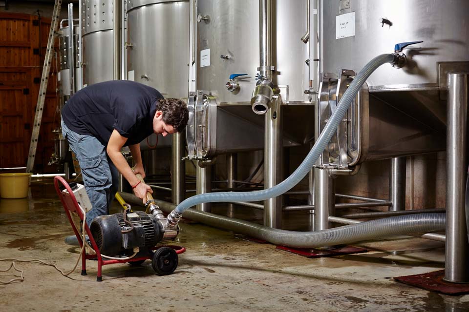 Wine Industry