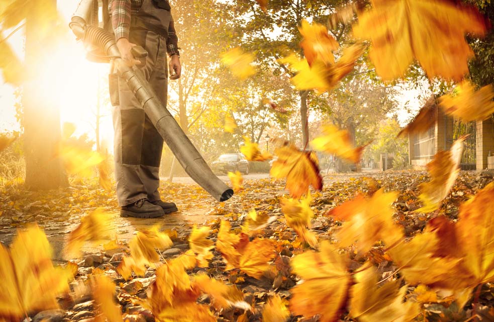 Leaf Vacuum & Grass Mower